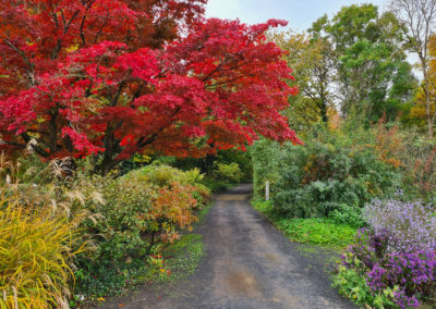 Der Alte Botanische Garten in Herbstfarben